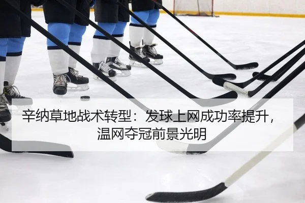 xin-na-cao-di-zhan-shu-zhuan-xing-fa-qiu-shang-wang-cheng-gong-lv-ti-sheng-wen-wang-duo-guan-qian-jing-guang-ming-2-567.jpg